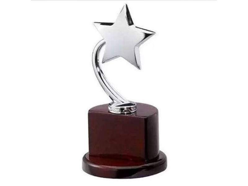 Wooden Star Trophy with Metal Plate