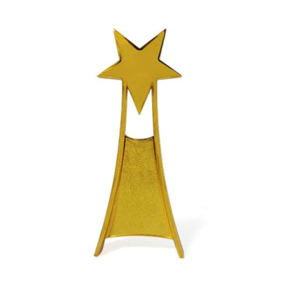 Star Trophy – Gold Finish with Velvet Box