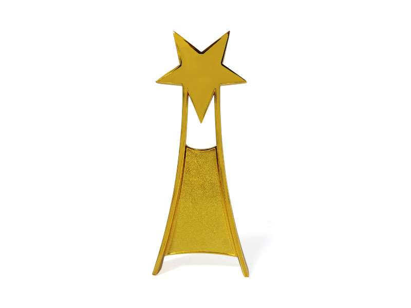 Star Trophy – Gold Finish with Velvet Box