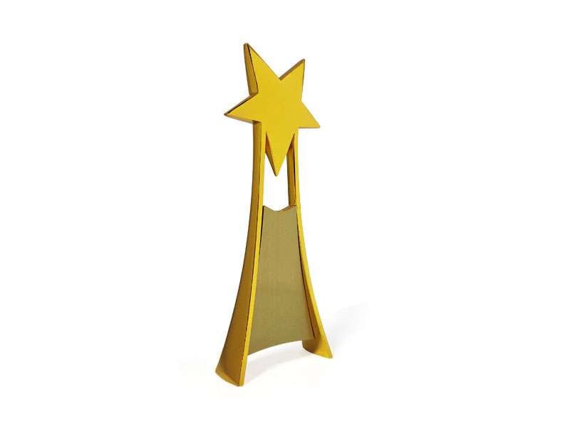 Star Trophy – Gold Finish with Velvet Box - Image 2