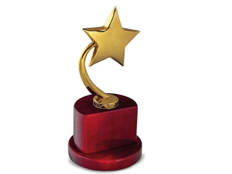 Wooden Star Trophy with Metal Plate - Image 2