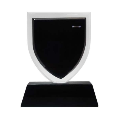 Prestigious Award for Excellence