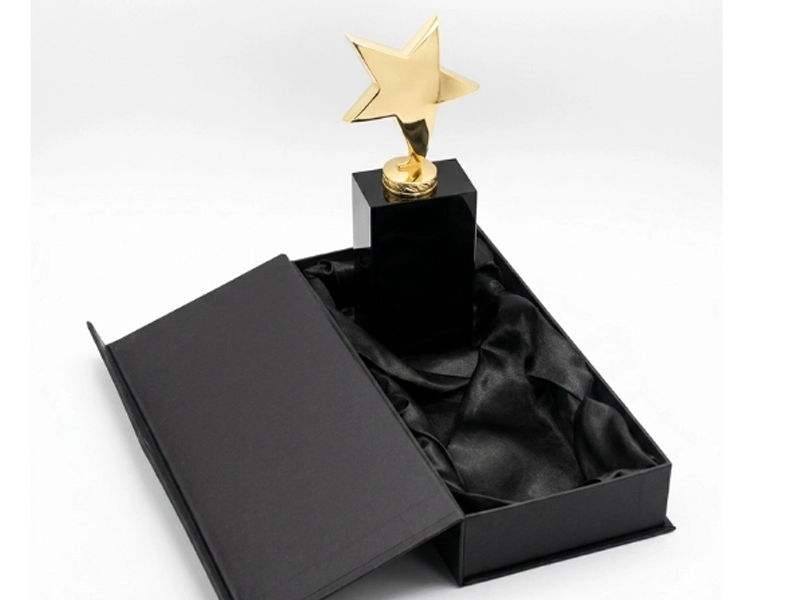 Premium Star Trophy - Image 4
