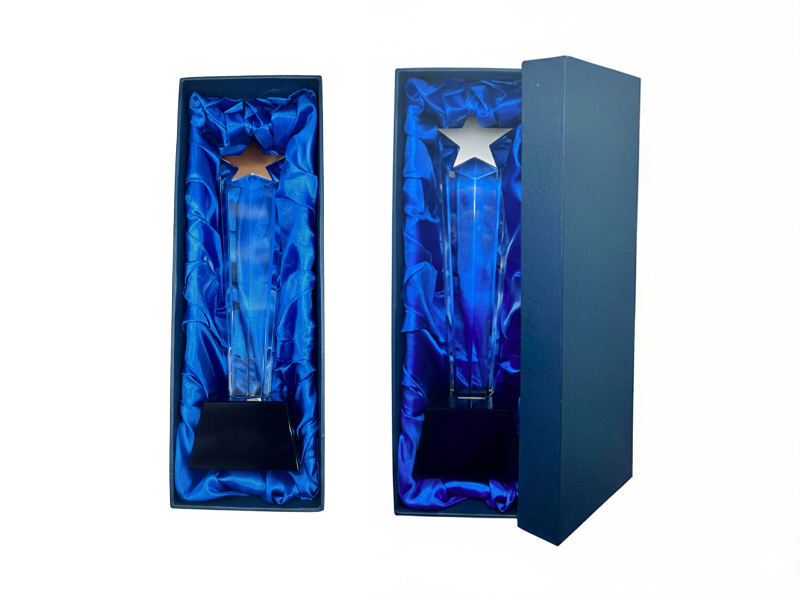 Crystal Star Trophy - Image 6